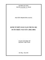 Kinh tế biển đảo nam trung bộ dưới triều nguyễn (1802 1884)  