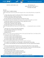 Bộ 3 đề thi HK2 năm 2020 môn GDCD lớp 11 Trường THPT Đồng Lộc