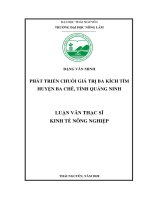 Phát triển chuỗi giá trị ba kích tím huyện Ba Chẽ, tỉnh Quảng Ninh (Luận văn thạc sĩ)
