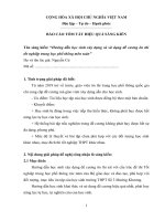 Báo cáo tóm tắt hiệu quả sáng kiến (2020-2021) - Copy