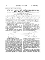 Các yếu tố chi phối không gian tri nhận của động từ tri giác