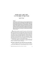 Ngôn ngữ, chữ viết và văn học ở Việt Nam - Nguyễn Tùng