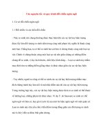 Các nguyên tắc và quy trình đối chiếu ngôn ngữ