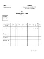 Mẫu Sổ cái (Mẫu số: S05-DN)