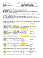 bộ đề thi thử TN THPT 2021 môn Hóa chuẩn đề minh họa P2 giải chi tiết