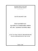 Đào tạo nhân lực tại Công ty cổ phần Thực phẩm Sữa TH- Tập đoàn Th TrueMilk