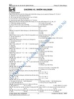 tracnghiemhalogen