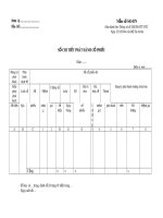 Mẫu Sổ chi tiết phát hành cổ phiếu (Mẫu số: S43-DN)