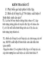 Bé vẽ các con vật