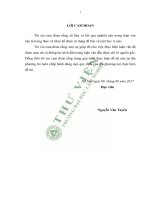 Một số giải pháp nhằm giải quyết việc làm cho lao động nông thôn ở huyện tam dương, tỉnh vĩnh phúc 