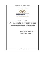 Bài giảng Văn hóa Việt Nam hiện đại 2B- ĐH Phạm Văn Đồng