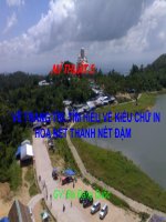 tim hieu kieu chu in hoa net thanh net dam lop 5