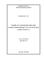 Luận án tiến sĩ nghiên cứu thành phần hóa học và hoạt tính sinh học của cây đu đủ đực (carica papaya l ) 