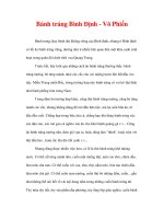 Bánh tráng Bình Định - Võ Phiến