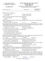 Đề thi học sinh giỏi môn GDCD lớp 12 cấp tỉnh năm 2020-2021 có đáp án - Sở GD&ĐT Bắc Ninh