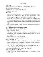 COI XUONG IN r 