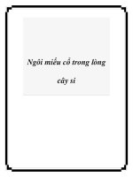 Ngôi miếu cổ trong lòng cây si