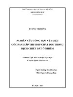 Luận văn tốt nghiệp nghiên cứu tổng hợp vật liệu gốc pani hấp thu hợp chất dde trong dịch chiết đất ô nhiễm 