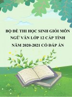 Bộ 10 đề thi học sinh giỏi môn Ngữ văn lớp 12 cấp tỉnh năm 2020-2021 có đáp án