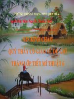 trang tri hvuong cuc hay