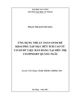 Ứng dụng thuật toán efim để khai phá tập mục hữu ích cao từ cơ sở dữ liệu bán hàng tại siêu thị co opmart quảng ngãi  