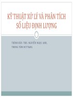 Bài giảng Kỹ thuật xử lý và phân tích số liệu định lượng - ThS, Nguyễn Ngọc Anh