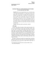 Cách đặt tên của người Chăm Islam ở Nam Bộ - từ góc độ ngôn ngữ học