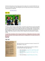 Lịch sử Văn hoá Việt Nam