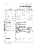 Giáo án tuần 13 Cây và những bông hoa đẹp