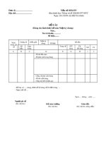 Mẫu Sổ cái (Mẫu số: S03b-DN)