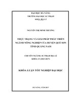 Thực trạng và giải pháp phát triển ngành nông nghiệp của huyện quế sơn tỉnh quảng nam 