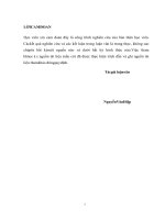 Một số giải pháp nâng cao hiệu quả công tác quản lý nhà nước về chất lượng tại các công trình thủy lợi trên địa bàn tỉnh Nghệ An (Luận văn thạc sĩ file word)