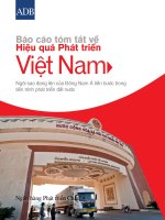Báo cáo tóm tắt về Hiệu quả phát triển Việt Nam: Ngôi sao đang lên của Đông Nam Á tiến bước trong tiến trình phát triển đất nước