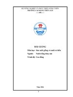 Bài giảng Sản xuất giống và nuôi cá biển - CĐ Thủy Sản