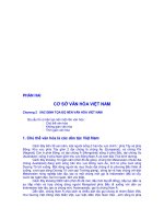 ĐỀ CƯƠNG BÀI GIẢNG CƠ SỞ VĂN HÓA VIỆT NAM - Chương 2