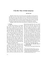 Trần Đức Thảo với hiện tượng học