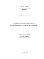 Nghiên cứu phân lập, xác định cấu trúc của tetradecanoic acid từ cao chiết rễ cây rẻ quạt  