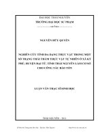 Nghiên cứu tính đa dạng thực vật trong một số trạng thái thảm thực vật tự nhiên ở xã ký phú, huyện đại từ, tỉnh thái nguyên làm cơ sở cho công tác bảo tồn 