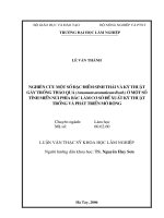 Nghiên cứu một số đăc điểm sinh thái và kỹ thuật gây trồng thảo quả (amomum aromaticum roxb) ở một số tỉnh miền núi phía bắc làm cơ sở đề xuất kỹ thuật trồng và phát triển mở rộng 