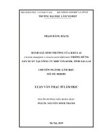 Đánh giá sinh trưởng của Keo lai (Acacia mangium x Acacia auriculiformis) trồng rừng sản xuất tại công ty MDF VINAFOR, tỉnh Gia Lai