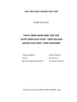 Phát triển nhãn hiệu tập thể nước mắm giao châu034; trên địa bàn huyện giao thủy, tỉnh nam định 