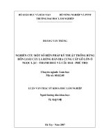 Nghiên cứu một số biện pháp kỹ thuật trồng rừng hỗn loài cây lá rộng bản địa cung cấp gỗ lớn ở ngọc lặc   thanh hóa và cầu hai   phú thọ 