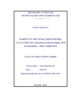 Nghiên cứu một số đặc điểm sinh học của cá chày đất (spinibabus hollandi osima, 1919) ở nam đông – thừa thiên huế  