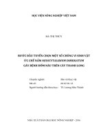 Bước đầu tuyển chọn một số chủng vi sinh vật ức chế nấm neoscytalidium dimidiatum gây bệnh đốm nâu trên cây thanh long   