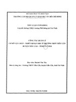 Công tác quản lý cơ sở vật chất ,thiết bị dạy học ở trường THPT tiểu cần 