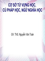 Bài giảng Cơ sở từ vựng học, cú pháp học, ngữ nghĩa học - ThS. Nguyễn Văn Toàn