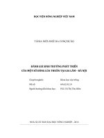 Đánh giá sinh trưởng phát triển của một số dòng lúa thuần tại gia lâm   hà nội 