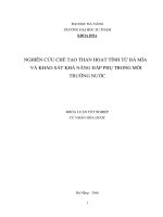 Nghiên cứu chế tạo than hoạt tính từ bã mía và khảo sát khả năng hấp phụ trong môi trường nước  