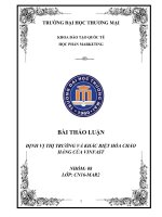 định vị thị trường và khác biệt hóa chào hàng của vinfast