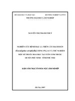 Nghiên cứu bệnh hại lá trên cây bạch đàn (eucalyptys urophylla) dòng PN2, u6 và thử nghiệm một số thuốc hóa học tại vườn ươm thuộc huyện phù ninh   tỉnh phú thọ 